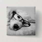 Goldendoodle mit Brille Button (Vorderseite)