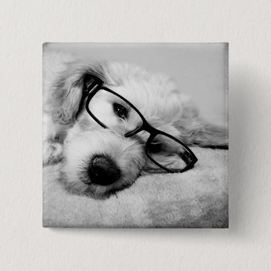 Goldendoodle mit Brille Button (Vorderseite)