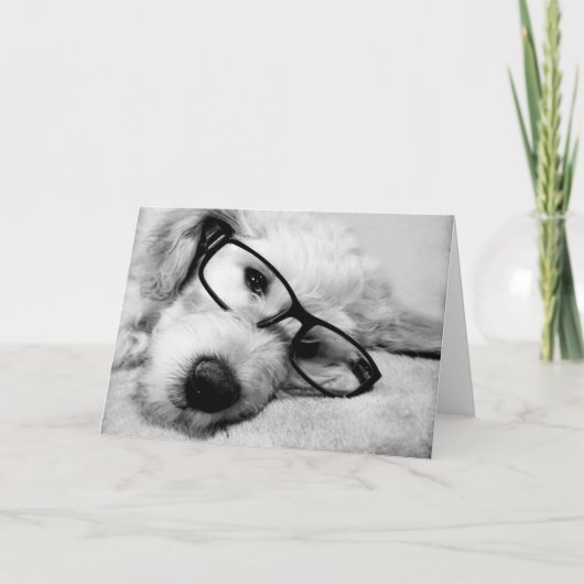 Goldendoodle mit Brille Karte (Vorderseite)