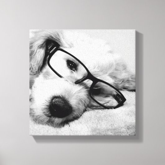 Goldendoodle mit Brille Leinwanddruck (Vorderseite)