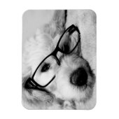 Goldendoodle mit Brille Magnet (Vertikal)