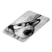 Goldendoodle mit Brille Magnet (Linke Seite)