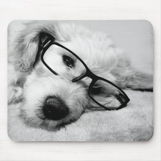 Goldendoodle mit Brille Mousepad (Vorne)