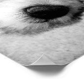 Goldendoodle mit Brille Poster (Ecke)