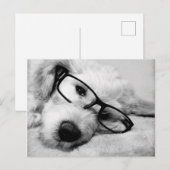 Goldendoodle mit Brille Postkarte (Vorne/Hinten)