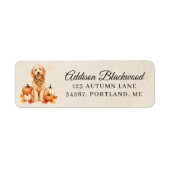 Goldendoodle mit Herbstkürbissen (Vorne)