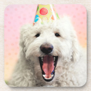 Goldendoodle mit Party-Hut Getränkeuntersetzer