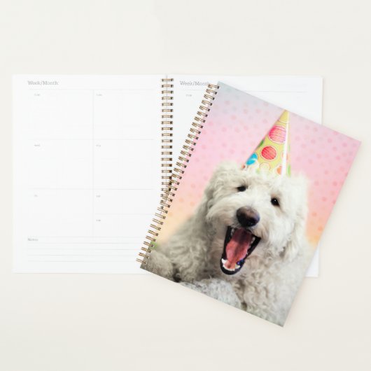 Goldendoodle mit Party-Hut Planer (Anzeige)