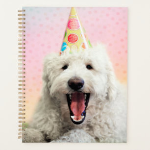 Goldendoodle mit Party-Hut Planer