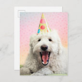 Goldendoodle mit Party-Hut Postkarte (Vorne/Hinten)