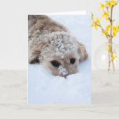 Goldendoodle mit schneesicherer Nase Karte (Gelbe Blume)