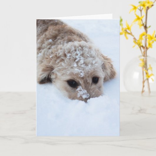 Goldendoodle mit schneesicherer Nase Karte (Gelbe Blume)