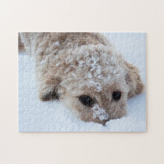 Goldendoodle mit schneesicherer Nase Puzzle (Horizontal)