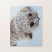 Goldendoodle mit schneesicherer Nase Puzzle (Vertikal)
