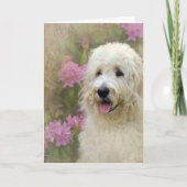 Goldendoodle mit Textur Karte (Vorderseite)