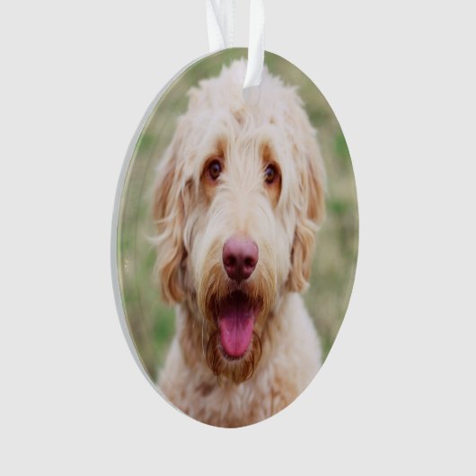 Goldendoodle Ornament (Vorderseite)