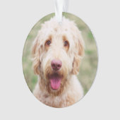 Goldendoodle Ornament (Vorderseite)