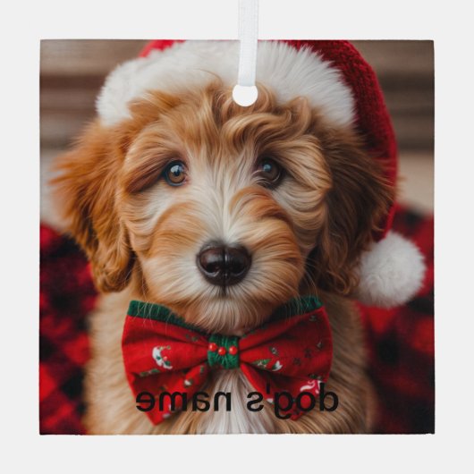 Goldendoodle Ornament Aus Glas (Rückseite)