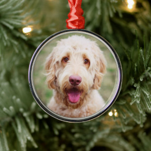 Goldendoodle Ornament Aus Metall