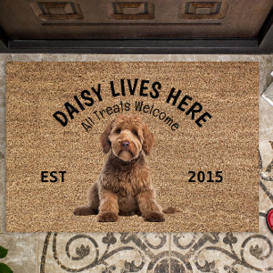 Goldendoodle Personalisierter Hund Lover Doormat Fußmatte
