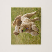 Goldendoodle Playing Fetch Puzzle (Vertikal)