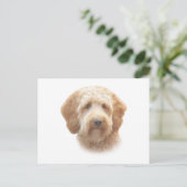 Goldendoodle Postkarte (Stehend Vorderseite)