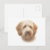 Goldendoodle Postkarte (Vorne/Hinten)