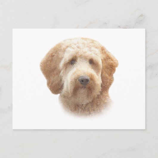 Goldendoodle Postkarte (Vorderseite)