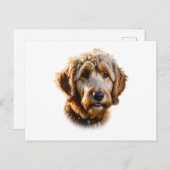 Goldendoodle Postkarte (Vorne/Hinten)
