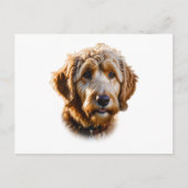 Goldendoodle Postkarte (Vorderseite)