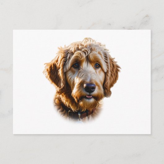 Goldendoodle Postkarte (Vorderseite)