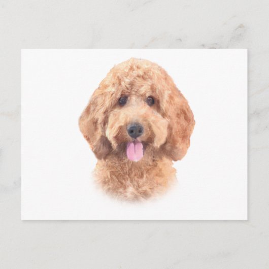 Goldendoodle Postkarte (Vorderseite)