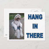 GOLDENDOODLE POSTKARTE (Vorne/Hinten)