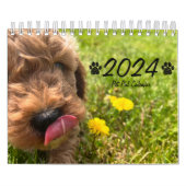 Goldendoodle Puppy 2024 Kalender (Titelbild)