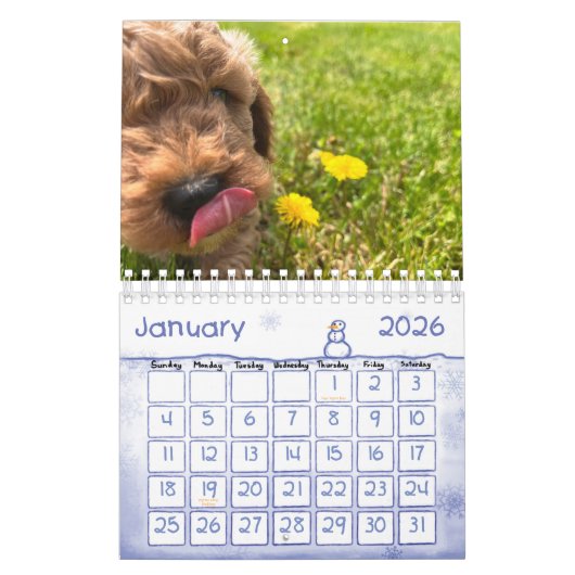 Goldendoodle Puppy 2024 Kalender (Jan 2026)