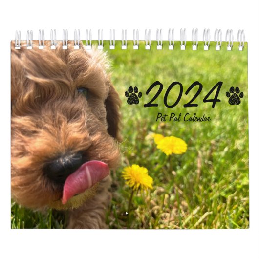 Goldendoodle Puppy 2024 Kalender (Titelbild)