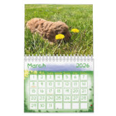 Goldendoodle Puppy 2024 Kalender (Mär 2026)