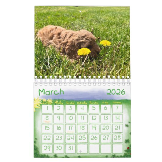 Goldendoodle Puppy 2024 Kalender (Mär 2026)