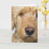 Goldendoodle Puppy Closeup Karte (Gelbe Blume)