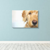 Goldendoodle Puppy Closeup Leinwanddruck (Insitu (Holzboden))