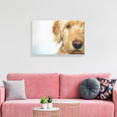 Goldendoodle Puppy Closeup Leinwanddruck (Insitu (Wohnzimmer))