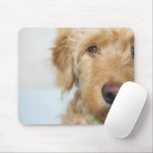 Goldendoodle Puppy Closeup Mousepad (Mit Mouse)