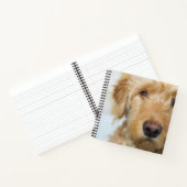 Goldendoodle Puppy Closeup Notizblock (Innenseite)