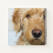 Goldendoodle Puppy Closeup Notizblock (Rückseite)