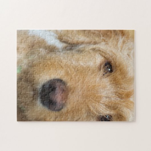 Goldendoodle Puppy Closeup Puzzle (Horizontal)