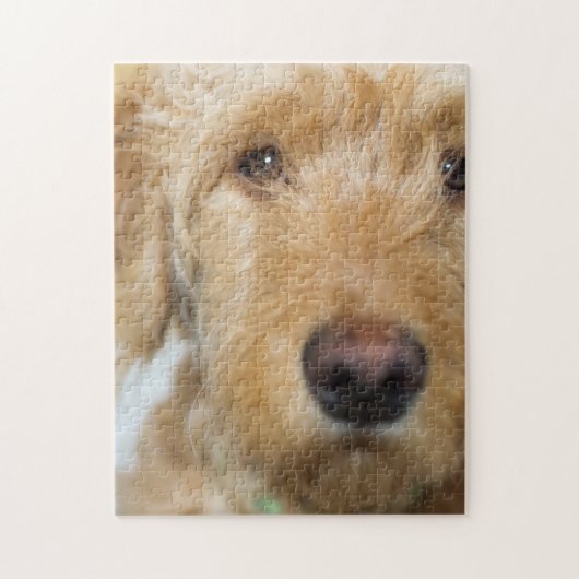 Goldendoodle Puppy Closeup Puzzle (Vertikal)