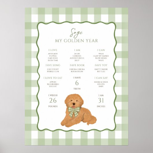 Goldendoodle Puppy Dog 1st Birthday Milestone  Poster (Vorne)
