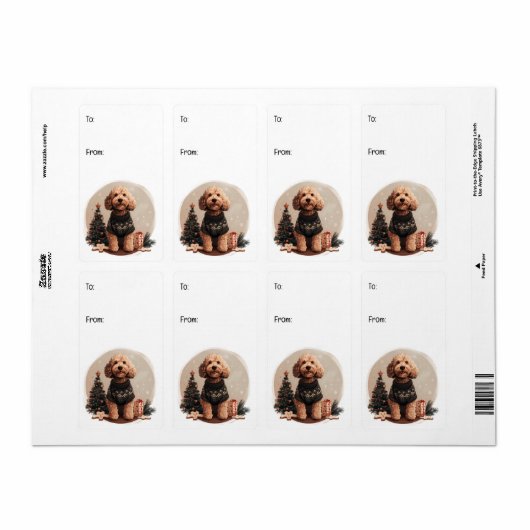 Goldendoodle Puppy Hunde (Vorne)