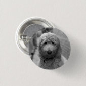 Goldendoodle Puppy In Backyard Button (Vorne & Hinten)