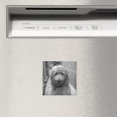 Goldendoodle Puppy In Backyard Magnet (In Situ (Geschirrspüler))